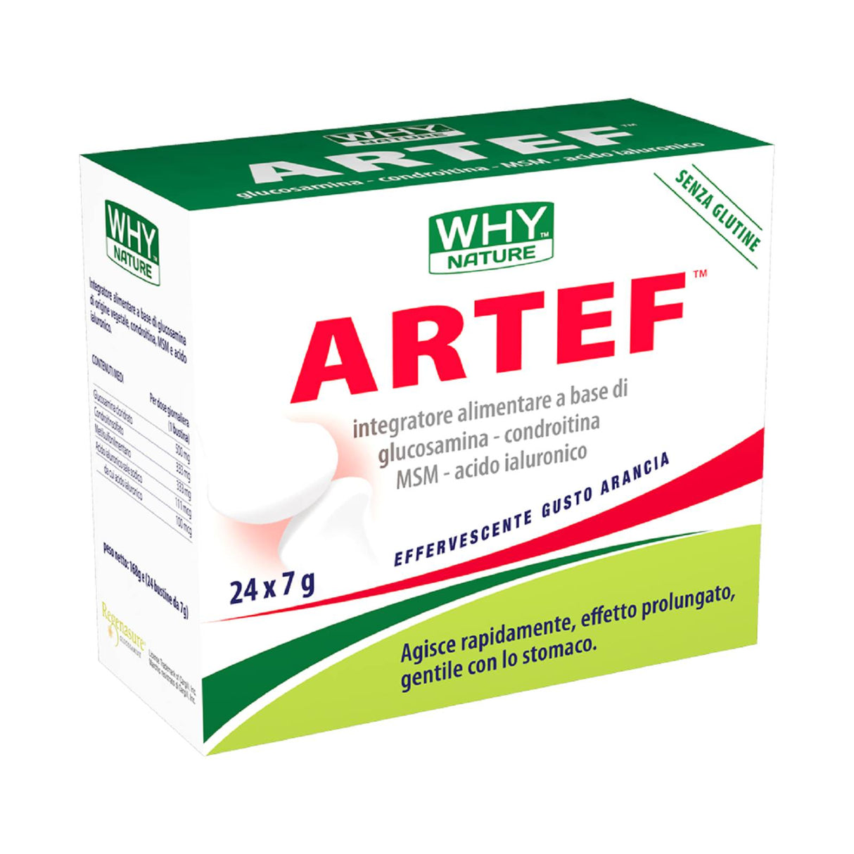 WHY NATURE ARTEF 24 BUSTINE