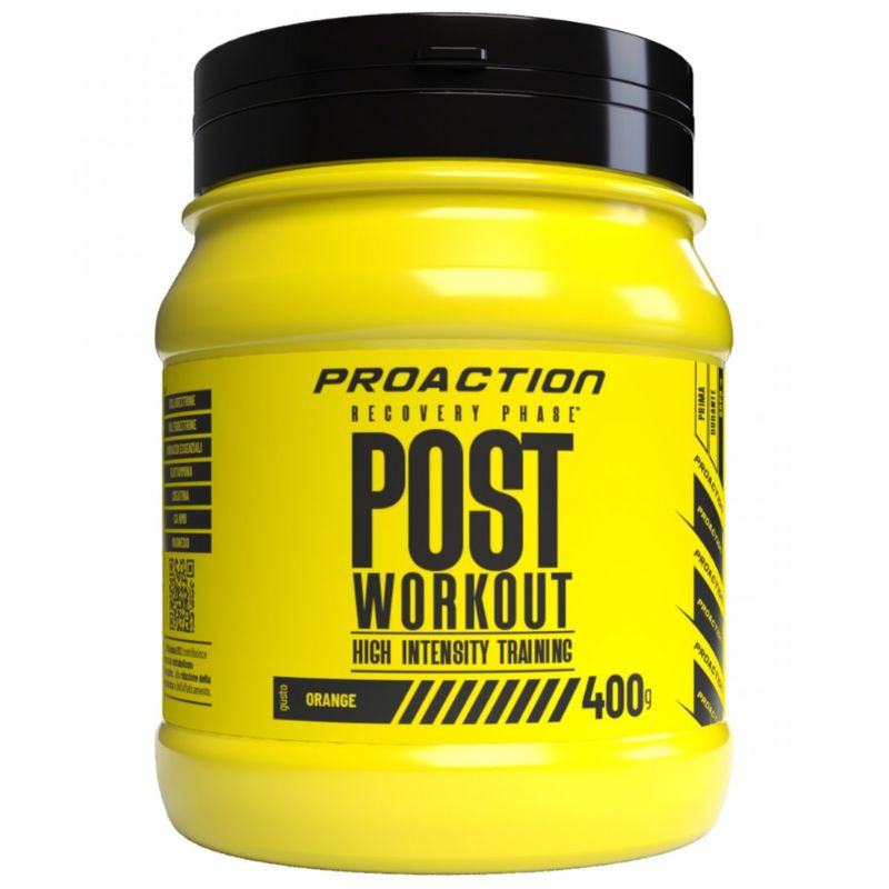 Proaction Post Workout 400 Grammi
