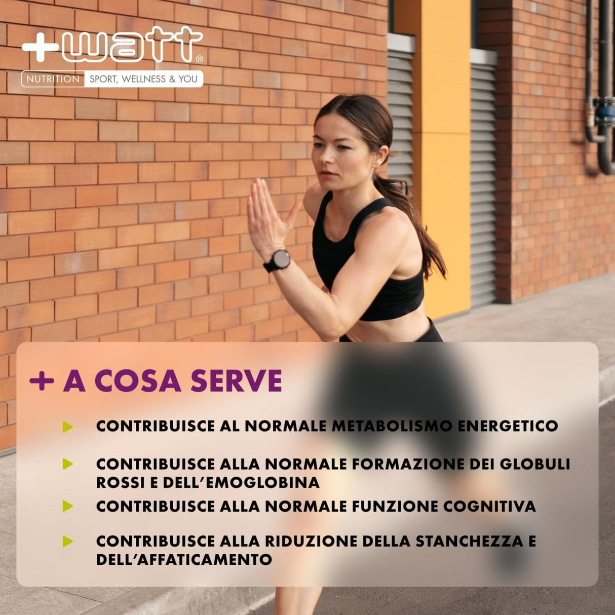 +WATT FERRO+ 40 COMPRESSE MASTICABILI GUSTO RIBES