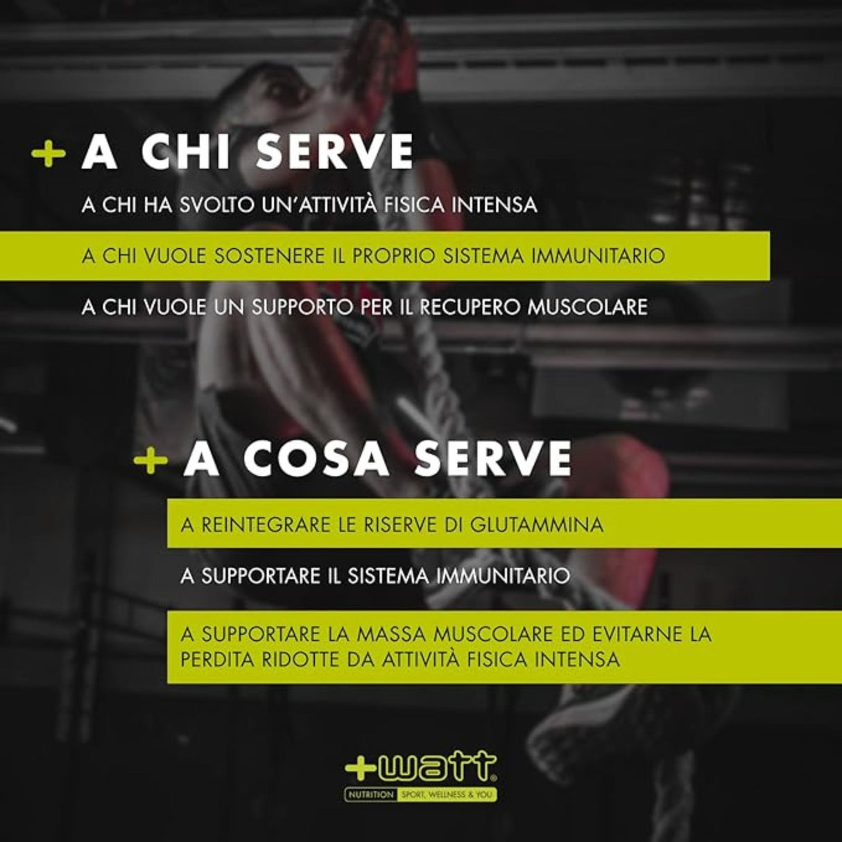 +WATT GLUTAMMINA+ 100 GRAMMI
