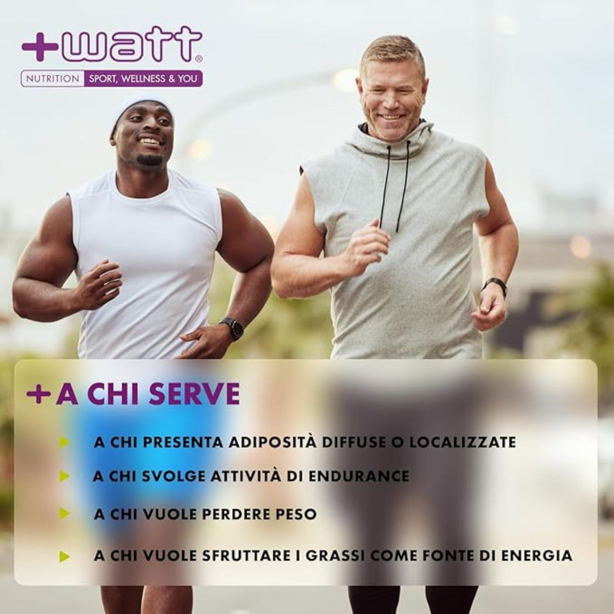 +WATT LIQUID CARNITINE+ 450 ML GUSTO TUTTI FRUTTI