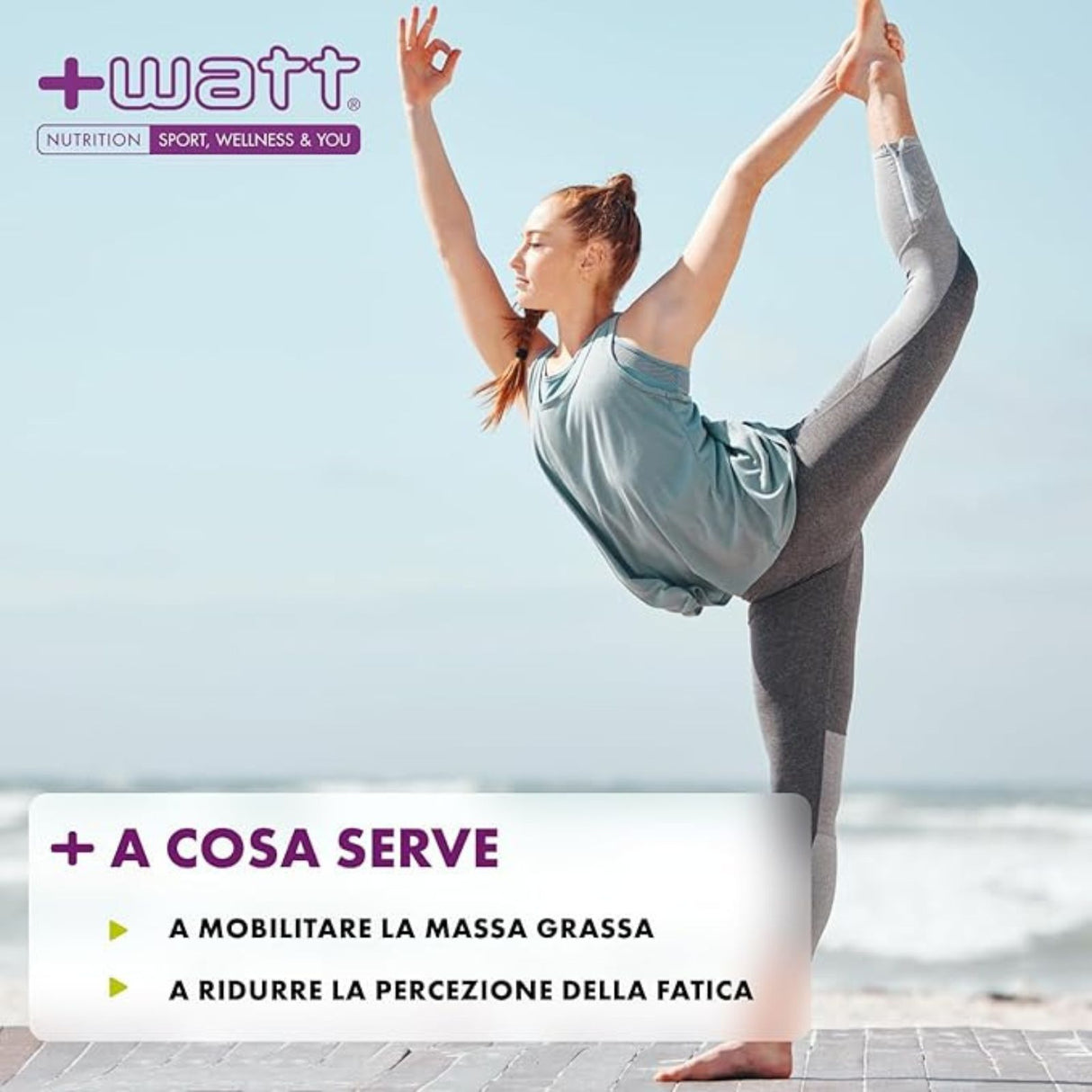 +WATT LIQUID CARNITINE+ 450 ML GUSTO TUTTI FRUTTI