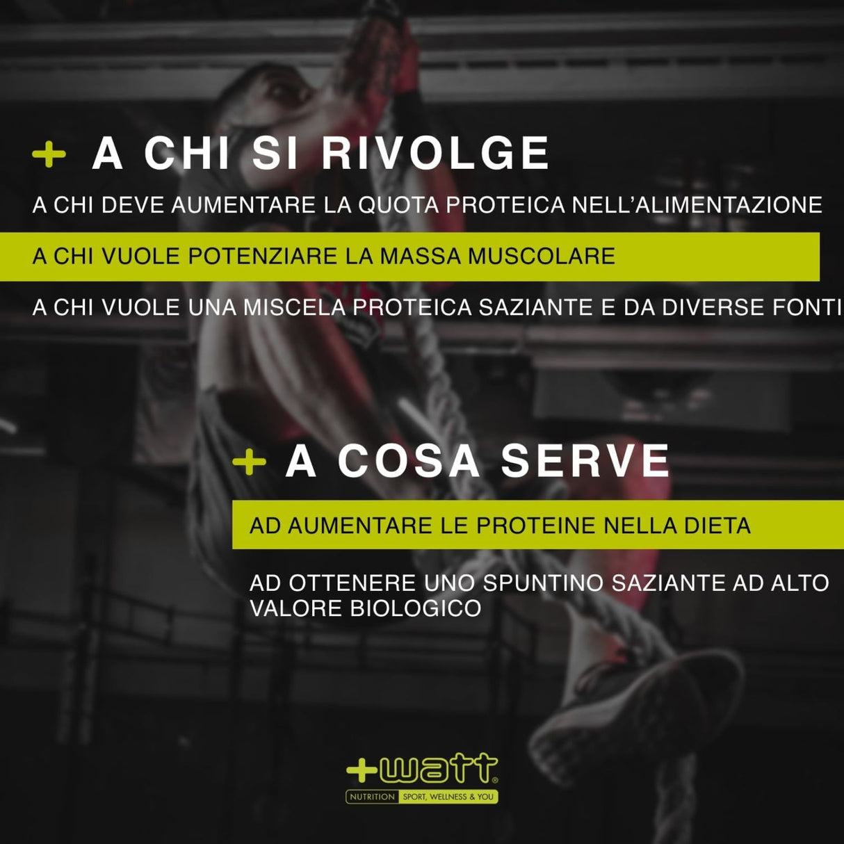 +WATT PROFESSIONAL BLEND XP BUSTA DA 750 GRAMMI