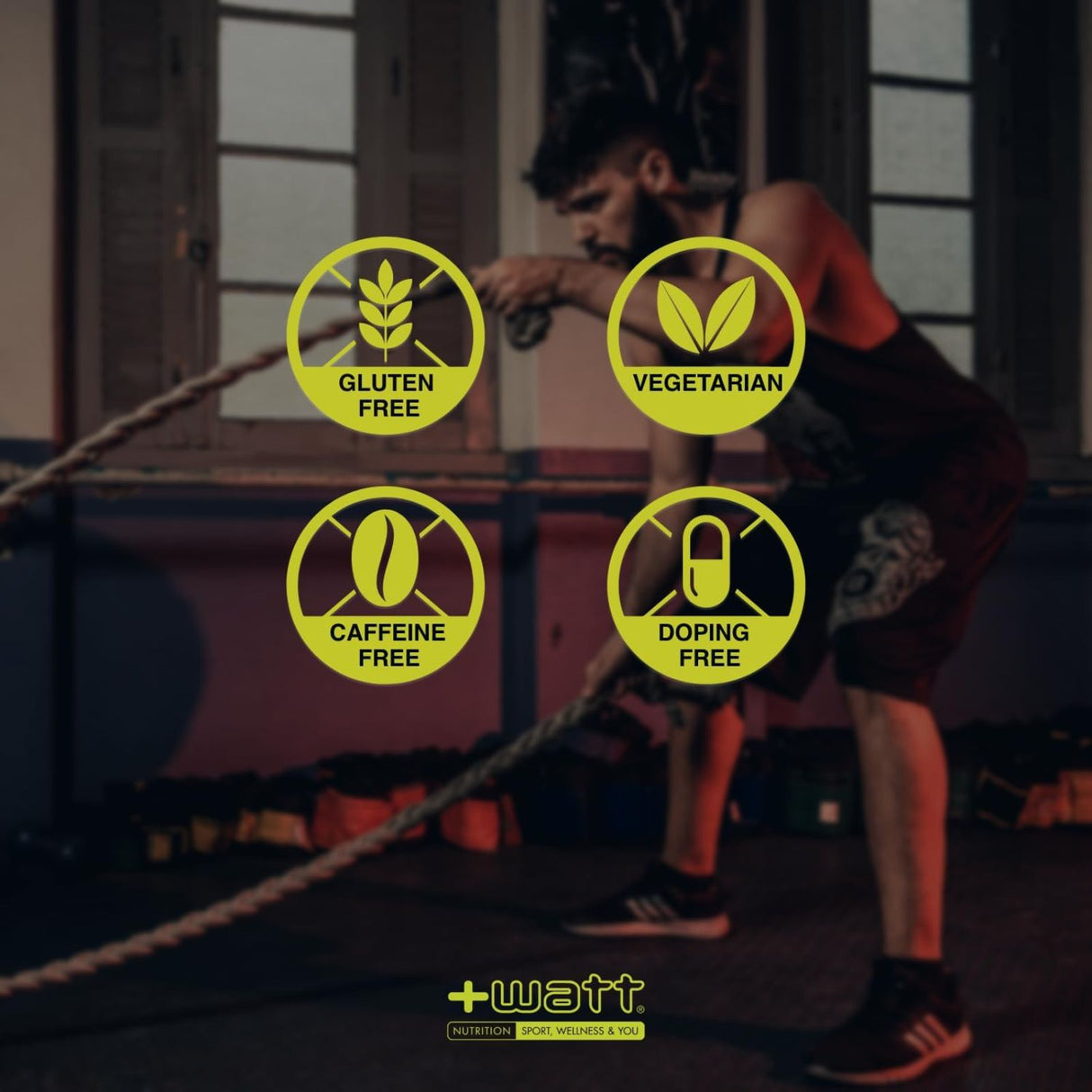 +WATT PROFESSIONAL BLEND XP BUSTA DA 750 GRAMMI