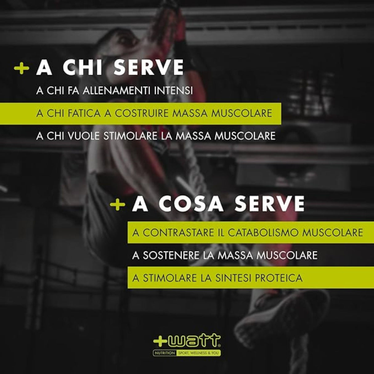 +WATT STAR GEL+ DA 50 GRAMMI