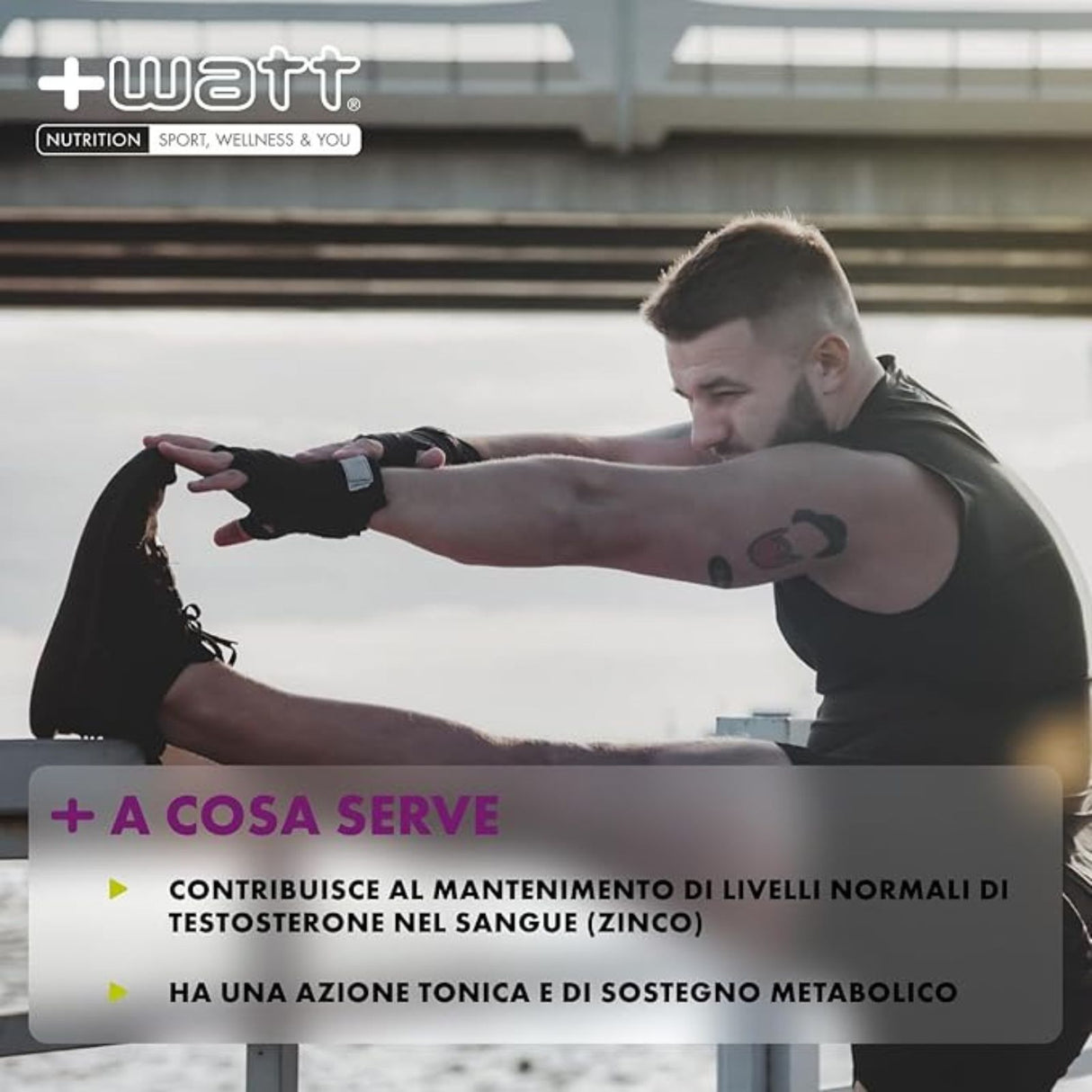 +WATT TESTO TECH 150 COMPRESSE