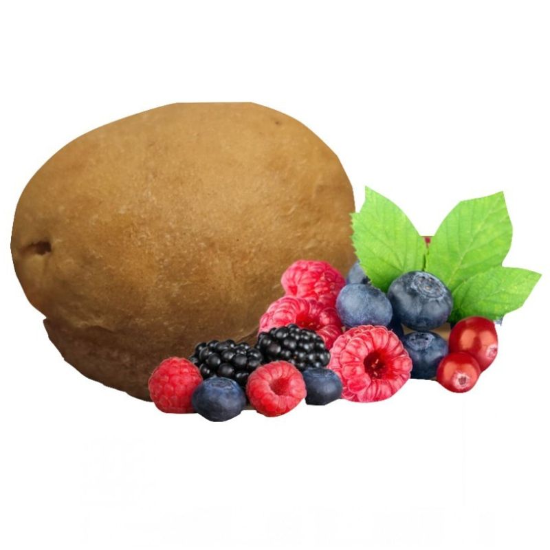 Pronutrition Tortino Keto 42 Grammi