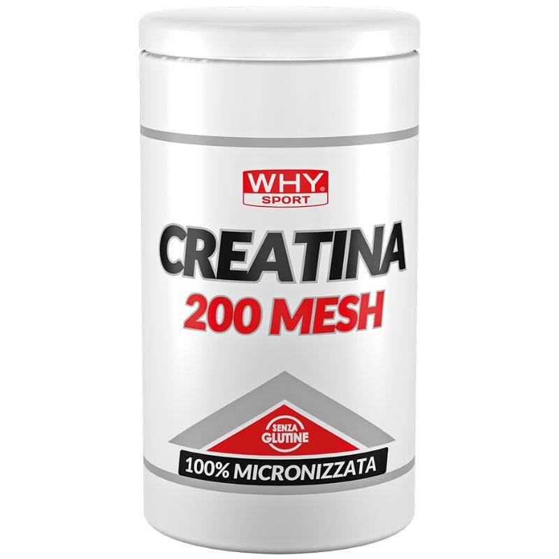 Why Sport Creatina 200 Mesh 500 Grammi