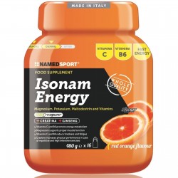 NAMED SPORT ISONAM ENERGY 480 GRAMMI Pre e Intra Work Out