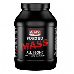WHY SPORT FORGED MASS CACAO 1 KG Gainer
