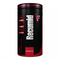 YAMAMOTO NUTRITION RECUMID 500 GRAMMI GUSTO TROPICAL Post Work Out