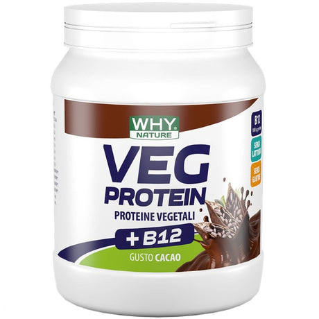 WHY NATURE VEG PROTEIN 450 GRAMMI