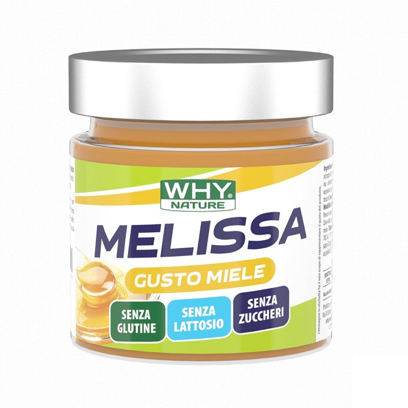 WHY NATURE MELISSA GUSTO MIELE 225 GRAMMI