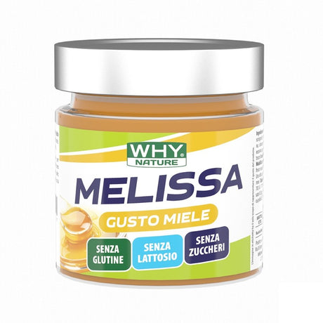 WHY NATURE MELISSA GUSTO MIELE 225 GRAMMI