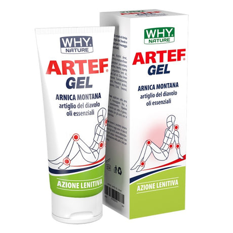 WHY NATURE ARTEF GEL 100 ML