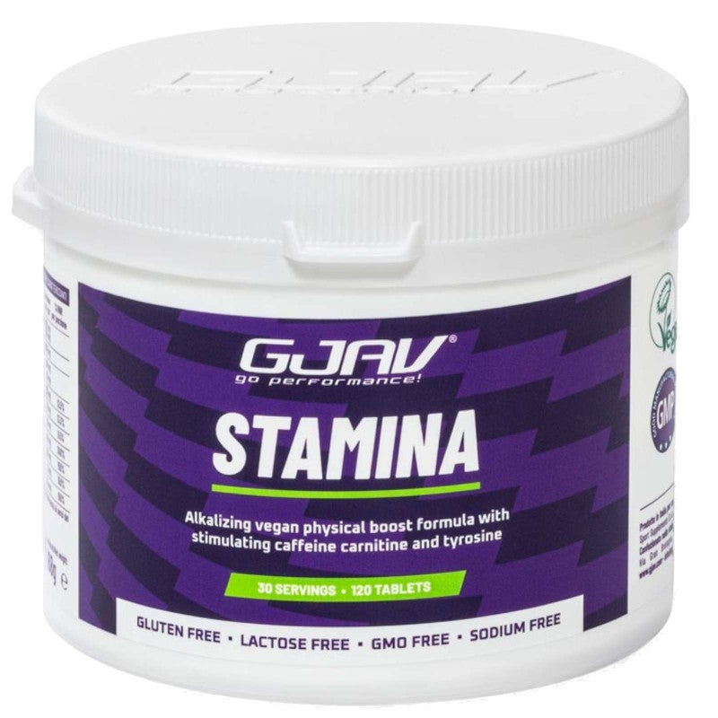 GJAV STAMINA 120 COMPRESSE