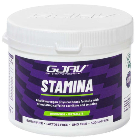 GJAV STAMINA 120 COMPRESSE