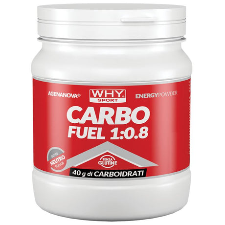 Why Sport Carbo Fuel 1:0.8 Da 615 Grammi