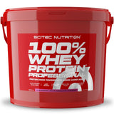 SCITEC NUTRITION 100% WHEY PROTEIN PROFESSIONAL 5 KG