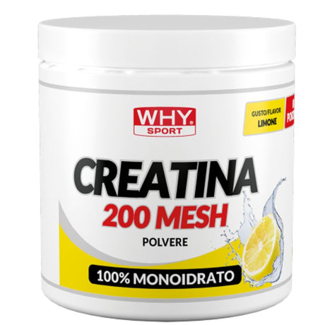 Why Sport Creatina 200 Mesh Aromatizzata 300 Grammi