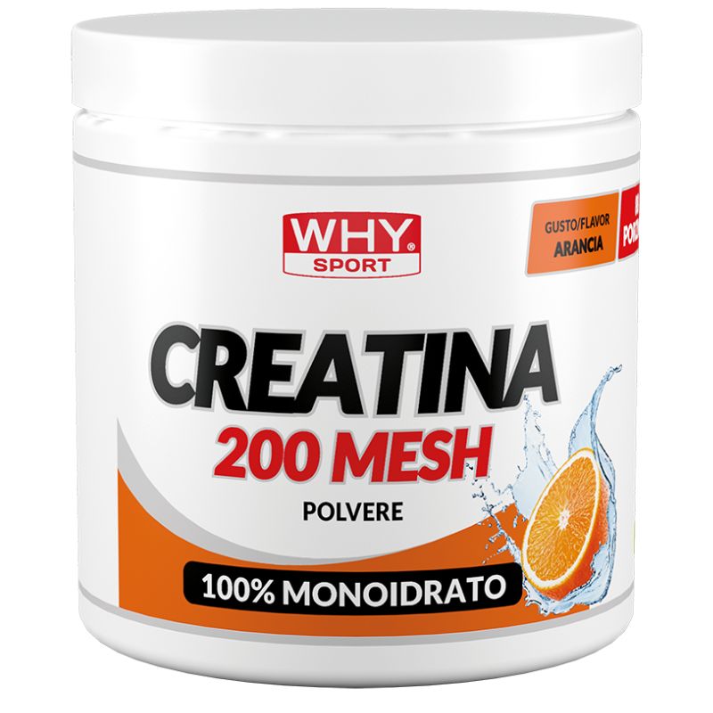 Why Sport Creatina 200 Mesh Aromatizzata 300 Grammi
