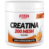 Why Sport Creatina 200 Mesh Aromatizzata 300 Grammi