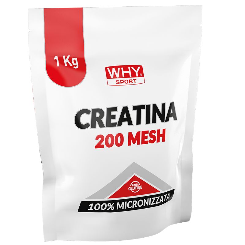 Why Sport Creatina 200 Mesh 1 Kg