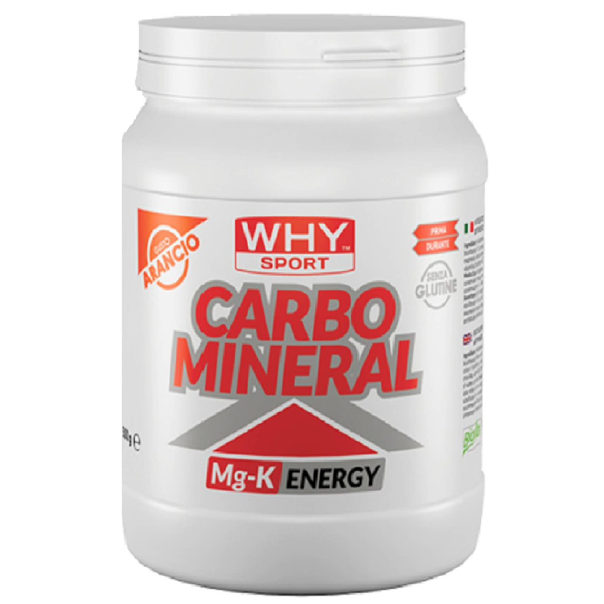 WHY SPORT CARBO MINERAL 500 GRAMMI