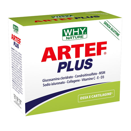 WHY NATURE ARTEF PLUS 24 BUSTINE